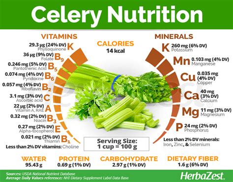 Proven Health Benefits of Celery & Nutrition Facts .